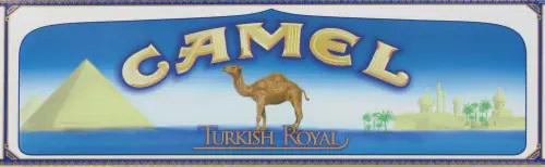 Camel Carton -  Awesomevapestore